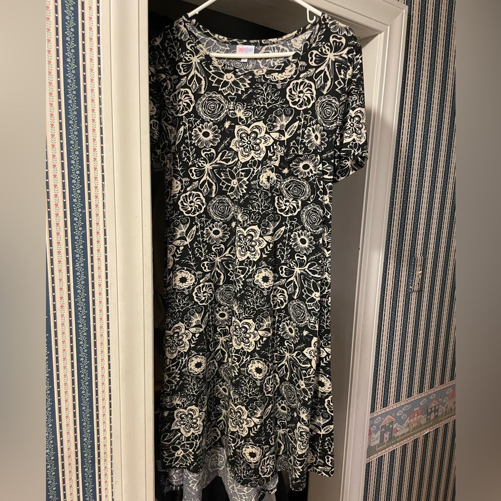 Sz L LulaRoe Carly